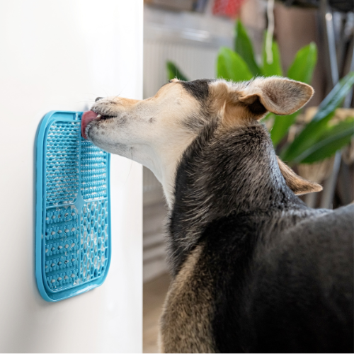 BoneItUp Lick Mat for Dogs & Cats – BPA-Free Dog Food Mat Slow Feeder, Crate Training, Dental Health & Digestion – Slow Feeder Mat for Dogs - Dishwasher Safe Crate Lick Mat (Blue)