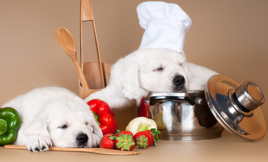 The Puppy Phase: Are Energy-Boosting Homemade Treats a Good Idea?