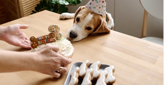 Mastering the Art of Dog Treat Baking at Home