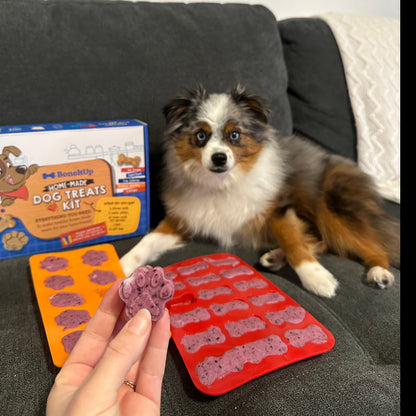 BoneItUp® Dog X3 Bundle