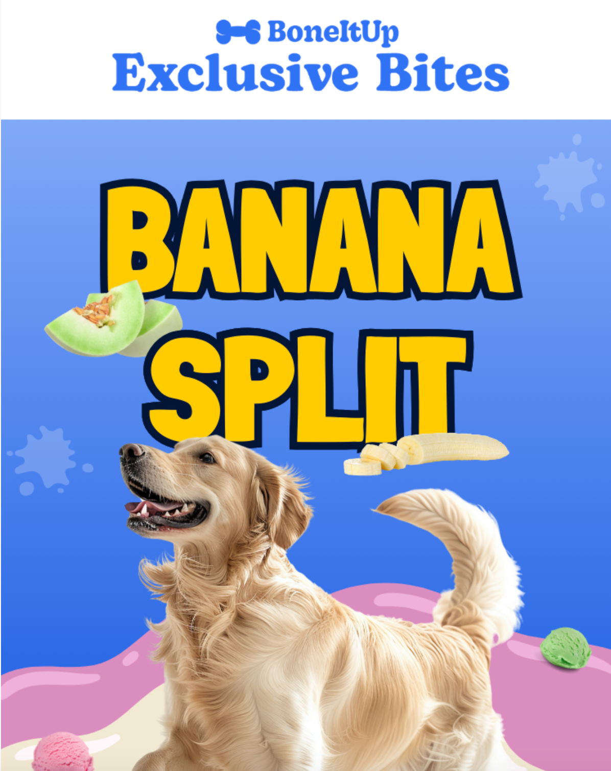 Exclusive Bites App (+Email)