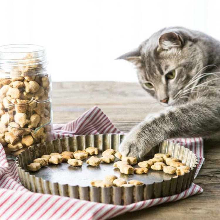 BoneItUp® Cat Edition Homemade Treats Kit
